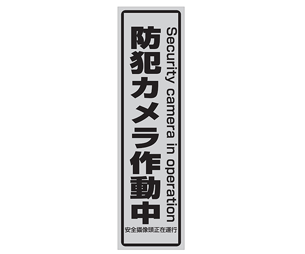 録画機能搭載防雨型センサーライトカメラ